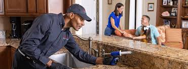 Best Commercial Pest Control  in Coal Valley, IL